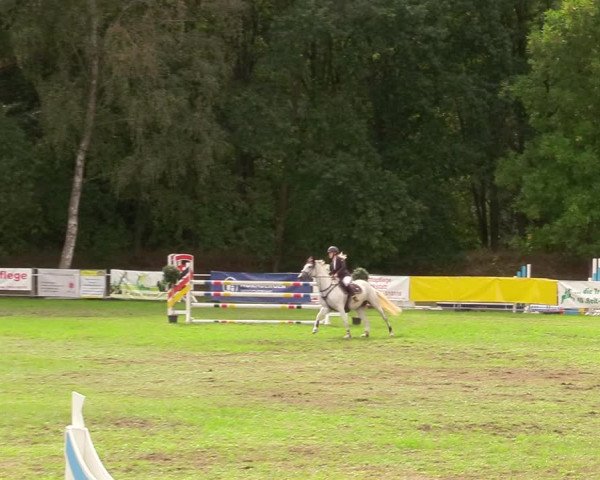 Reitturnier Pasewalk 2020