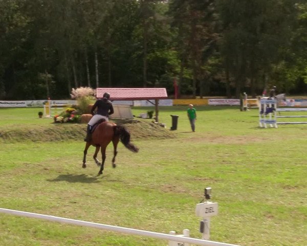 Reitturnier Pasewalk 2020