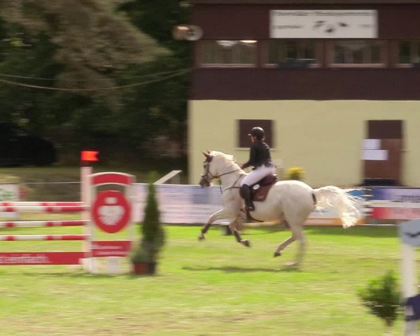 Reitturnier Pasewalk 2020