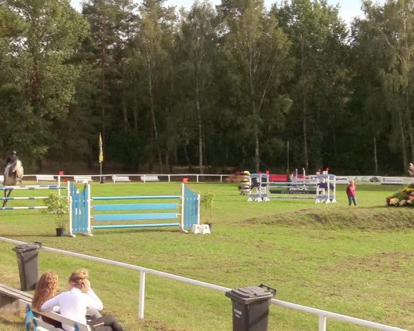 Reitturnier Pasewalk 2020