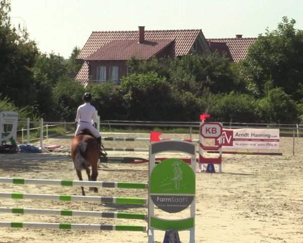 Reitturnier Ascheberg 2021