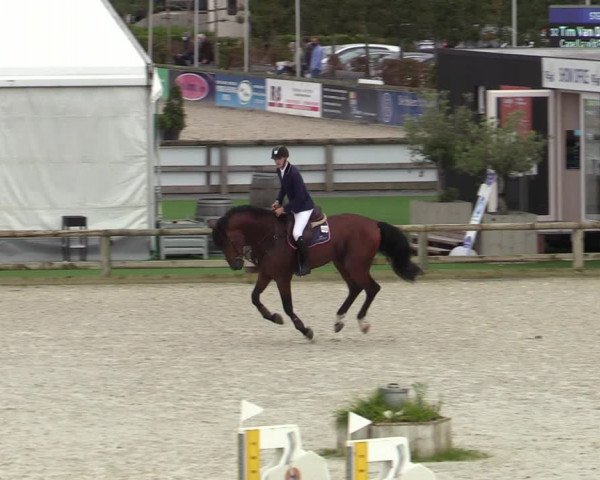 Belgisch Kampioenschap 4-5 Jarigen Paarden