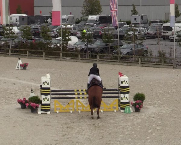 Belgisch Kampioenschap 4-5 Jarigen Paarden