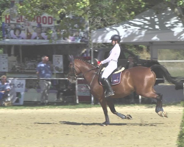 Reitturnier Heiligenwald 2020