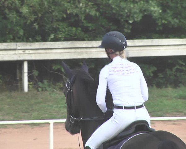 Reitturnier Heiligenwald 2020