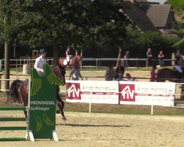Reitturnier Ascheberg 2021
