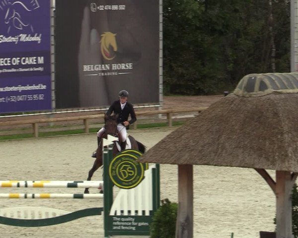 Belgisch Kampioenschap 4-5 Jarigen Paarden