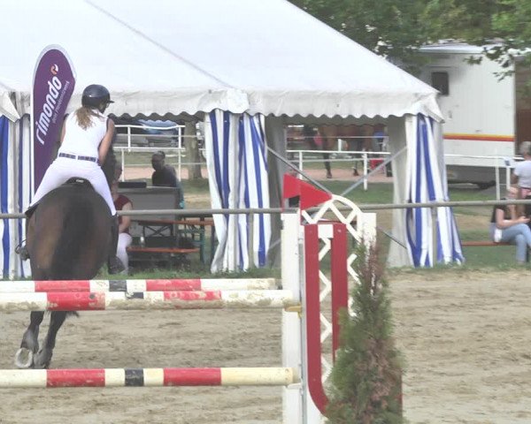 Reitturnier Heiligenwald 2020