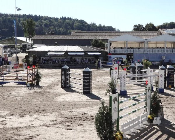 Reitturnier Humlikon 2020