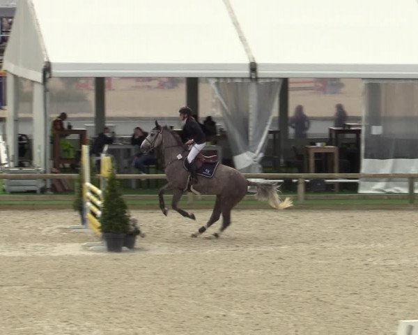 Belgisch Kampioenschap 4-5 Jarigen Paarden