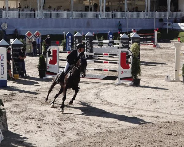 Reitturnier Humlikon 2020
