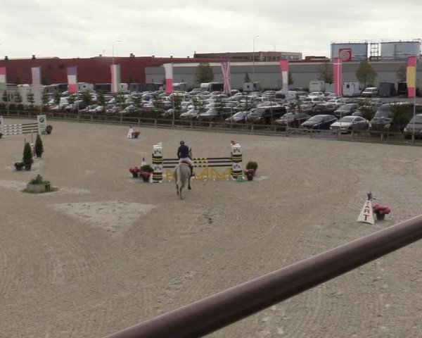 Belgisch Kampioenschap 4-5 Jarigen Paarden
