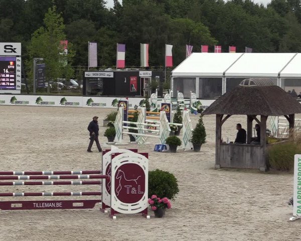 Belgisch Kampioenschap 4-5 Jarigen Paarden