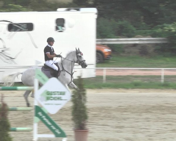 Reitturnier Heiligenwald 2020
