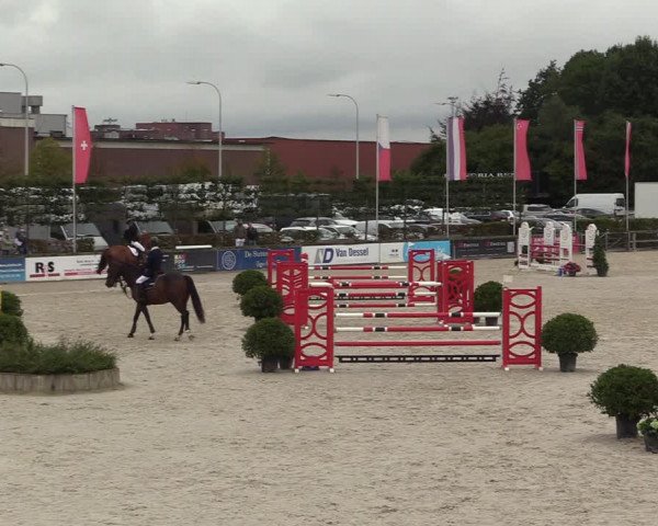 Belgisch Kampioenschap 4-5 Jarigen Paarden
