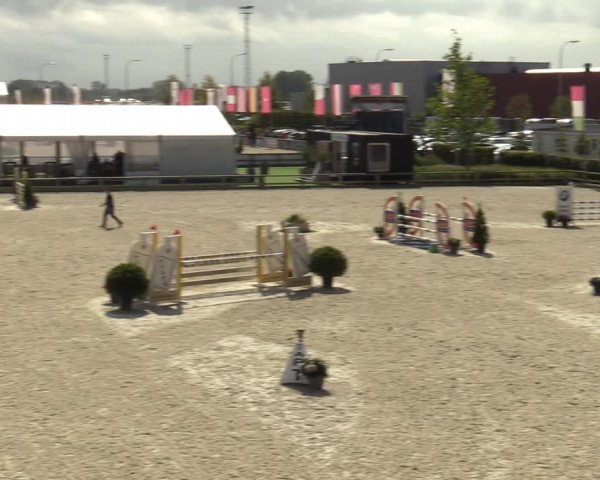 Belgisch Kampioenschap 4-5 Jarigen Paarden