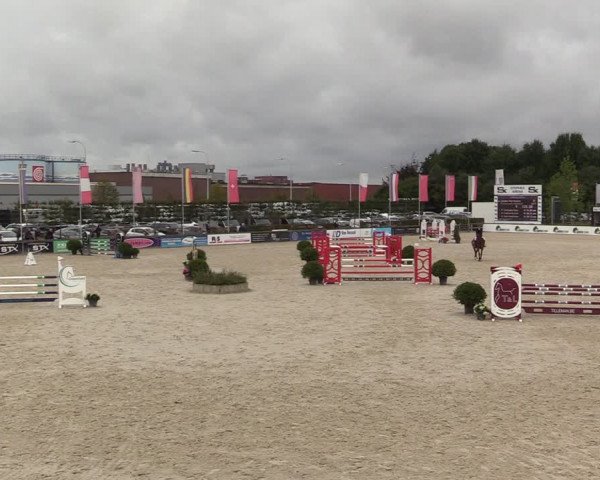 Belgisch Kampioenschap 4-5 Jarigen Paarden