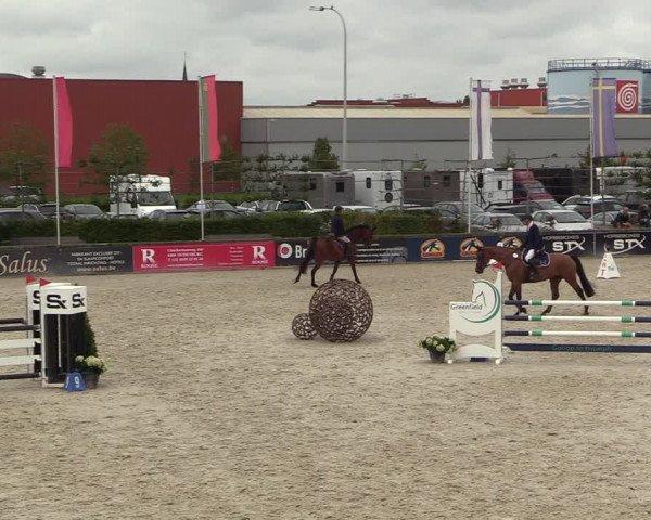 Belgisch Kampioenschap 4-5 Jarigen Paarden