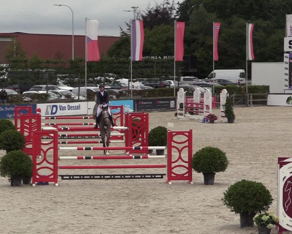 Belgisch Kampioenschap 4-5 Jarigen Paarden