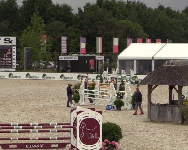 Belgisch Kampioenschap 4-5 Jarigen Paarden