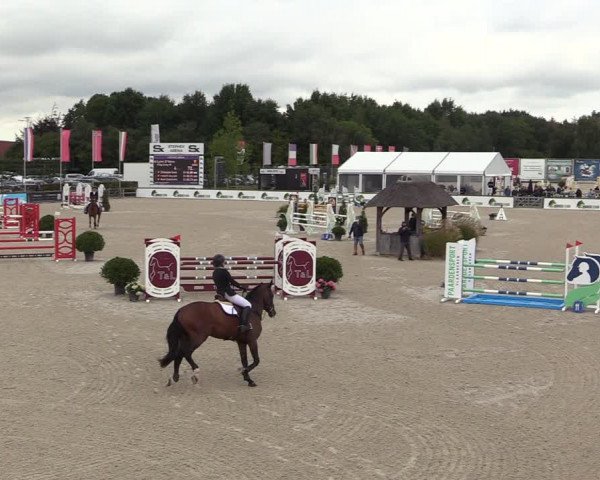 Belgisch Kampioenschap 4-5 Jarigen Paarden