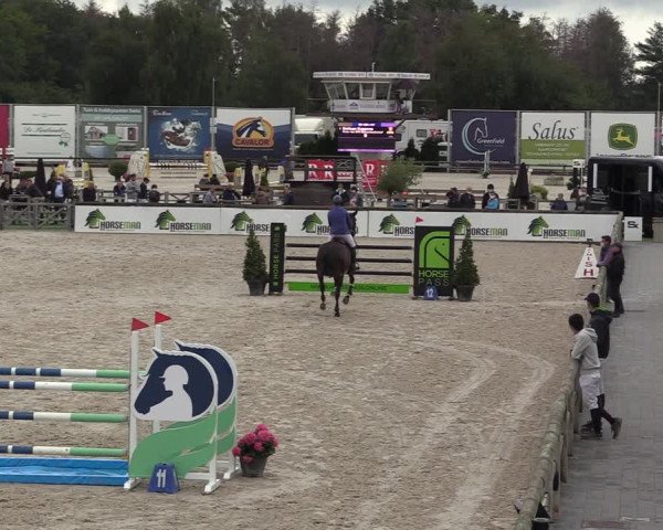 Belgisch Kampioenschap 4-5 Jarigen Paarden