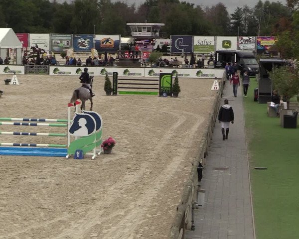 Belgisch Kampioenschap 4-5 Jarigen Paarden