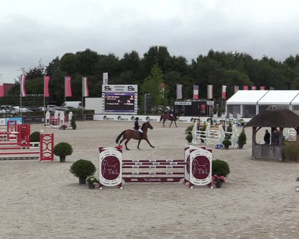 Belgisch Kampioenschap 4-5 Jarigen Paarden