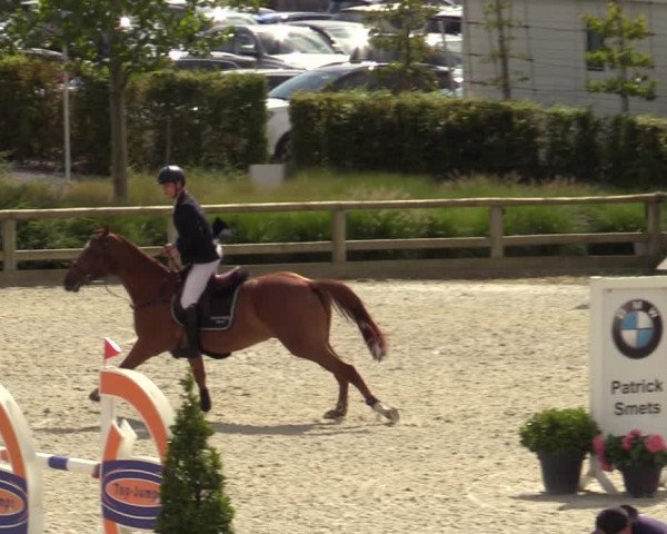 Belgisch Kampioenschap 4-5 Jarigen Paarden