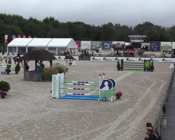 Belgisch Kampioenschap 4-5 Jarigen Paarden