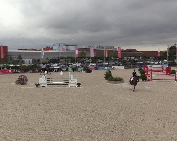 Belgisch Kampioenschap 4-5 Jarigen Paarden