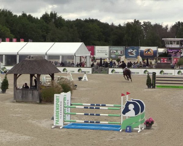 Belgisch Kampioenschap 4-5 Jarigen Paarden