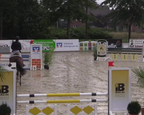 Reitturnier Ochtrup 2020