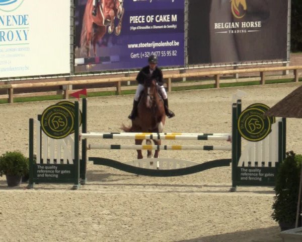 Belgisch Kampioenschap 4-5 Jarigen Paarden