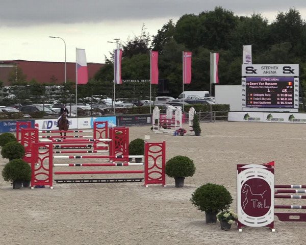 Belgisch Kampioenschap 4-5 Jarigen Paarden