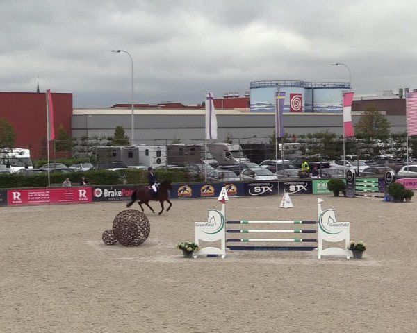 Belgisch Kampioenschap 4-5 Jarigen Paarden