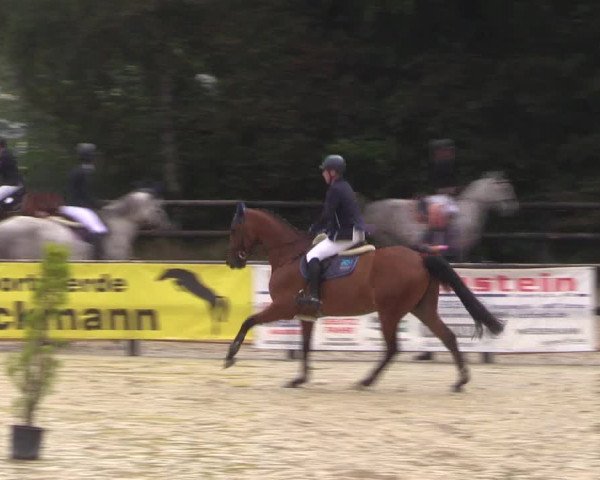 Reitturnier Ochtrup 2020