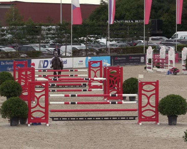 Belgisch Kampioenschap 4-5 Jarigen Paarden