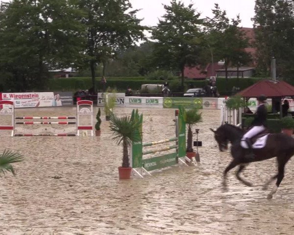 Reitturnier Ochtrup 2020