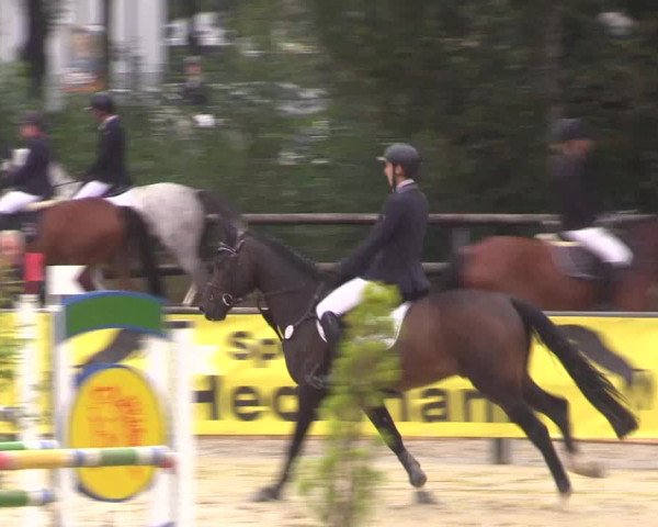 Reitturnier Ochtrup 2020