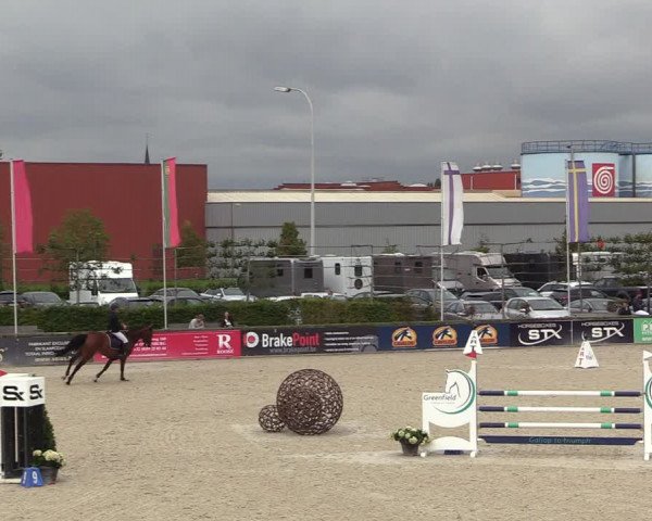 Belgisch Kampioenschap 4-5 Jarigen Paarden