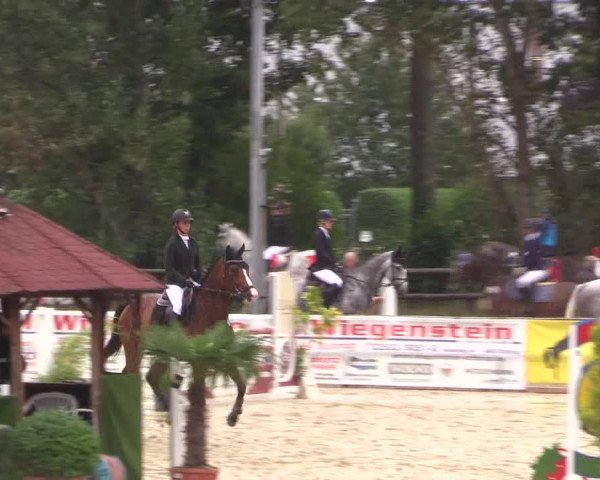 Reitturnier Ochtrup 2020