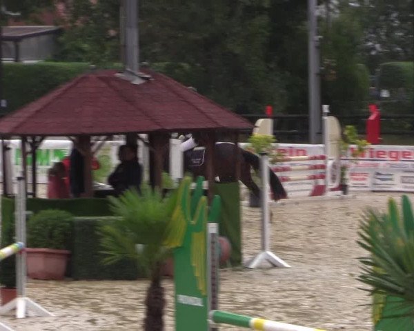 Reitturnier Ochtrup 2020