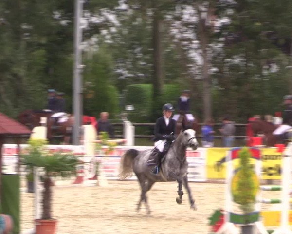 Reitturnier Ochtrup 2020
