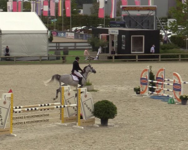 Belgisch Kampioenschap 4-5 Jarigen Paarden