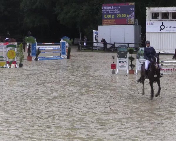 Reitturnier Ochtrup 2020