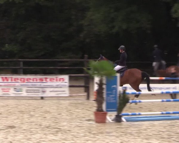 Reitturnier Ochtrup 2020