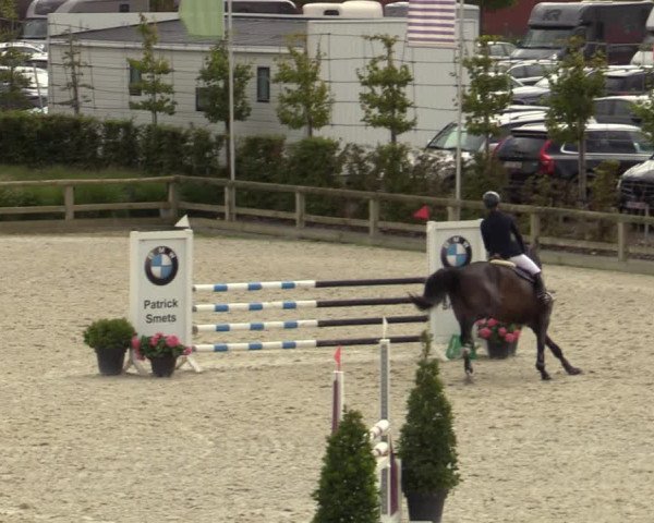 Belgisch Kampioenschap 4-5 Jarigen Paarden