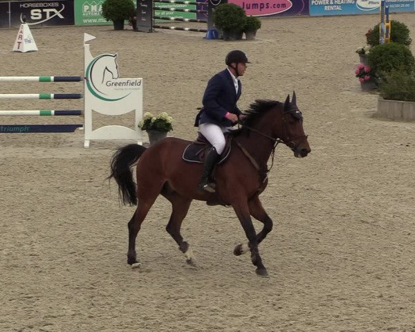 Belgisch Kampioenschap 4-5 Jarigen Paarden