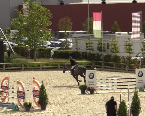 Belgisch Kampioenschap 4-5 Jarigen Paarden